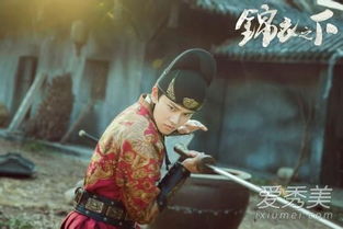 锦衣之下电视剧在线观看全集（锦衣之下电视剧在线观看全集免费版）