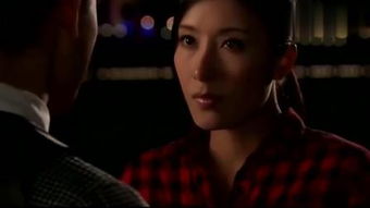 谈情说案粤语（谈情说案粤语版）