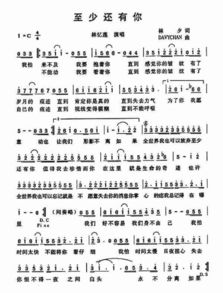 至少还有你（至少还有你歌曲林忆莲）