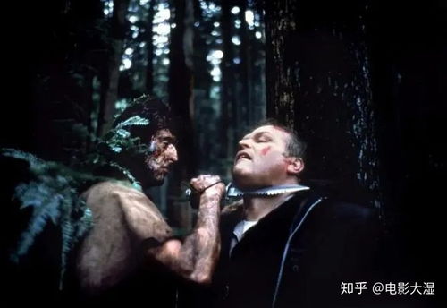 100部特种兵电视剧大全最新(15部必看特种部队电视剧) 100部特种兵电视剧大全最新(15部必看特种部队电视剧)