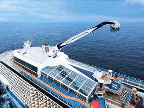 365dni游艇上是怎么拍的(365dni游艇上是真的还是假的) 365dni游艇上是怎么拍的(365dni游艇上是真的还是假的)