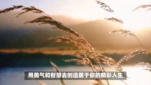 句句暖人心(祝福的话语,句句暖人心) 句句暖人心(祝福的话语,句句暖人心)