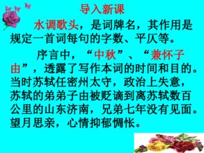 水调歌头（水调歌头原文及翻译）