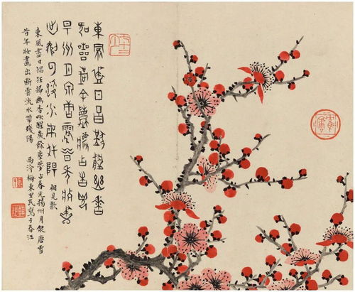 金花瓶楷梅花1在哪里看(金瓶梅花几月开 小说) 金花瓶楷梅花1在哪里看(金瓶梅花几月开 小说)