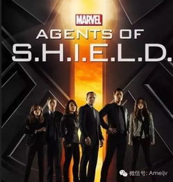 二十部必看美剧推荐（必看的美剧电影排行榜）