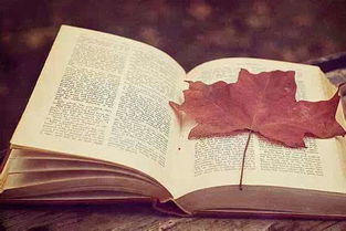 十句美到极致的情话(十句最美情话) 十句美到极致的情话(十句最美情话)