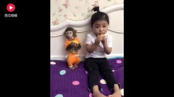 小小姑娘电影免费播放(小小姑娘) 小小姑娘电影免费播放(小小姑娘)