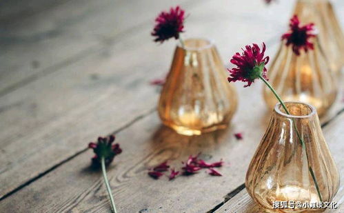 美丽的水蜜桃2最经典的一句的简单介绍