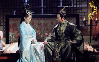 芈月传电视剧全集在线观看（芈月传电视剧在线完整免费观看）