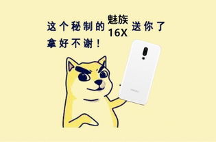 肥水不流外人田哔哩哔哩（肥水不流外人田是啥意思?）