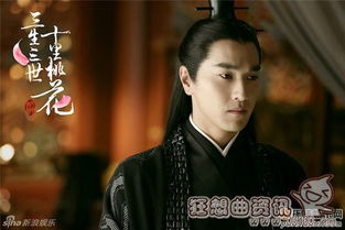 三生三世电视剧免费观看（三生三世电视剧免费观看影视大全）