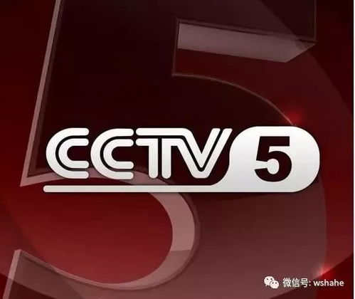 cctv5+直播（cctv5直播 现场直播在线）